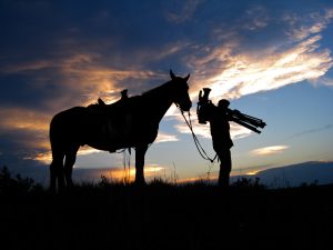 cameraman and horse silhouette
